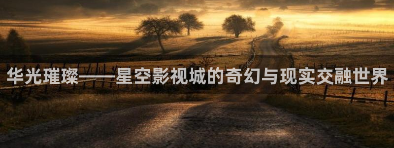 猎罪图鉴1星辰影院在线播放