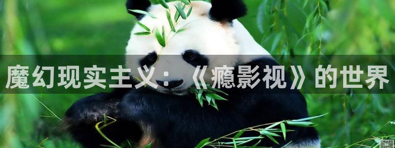 鸣龙少年星辰影院在线播放