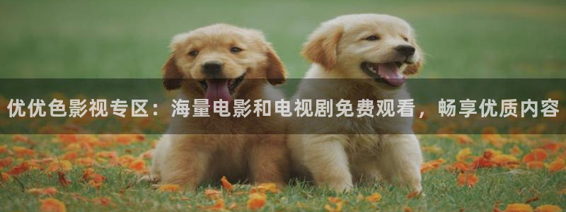 如懿传免费观看星辰影院：优优色影视专区：海量电影和电视剧免费观看，畅享优质内容