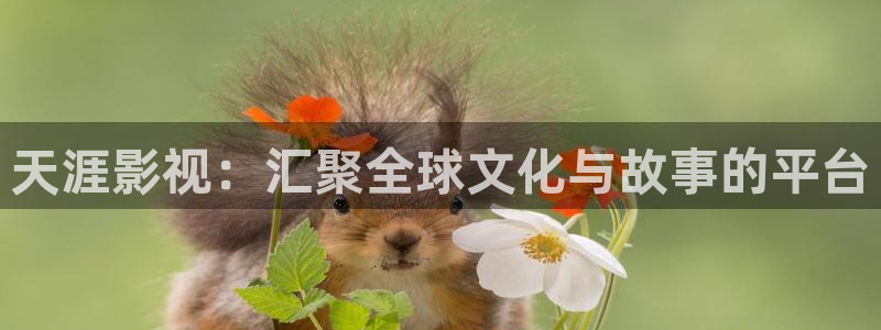 间谍过家家星辰影院：天涯影视：汇聚全球文化与故事的平台